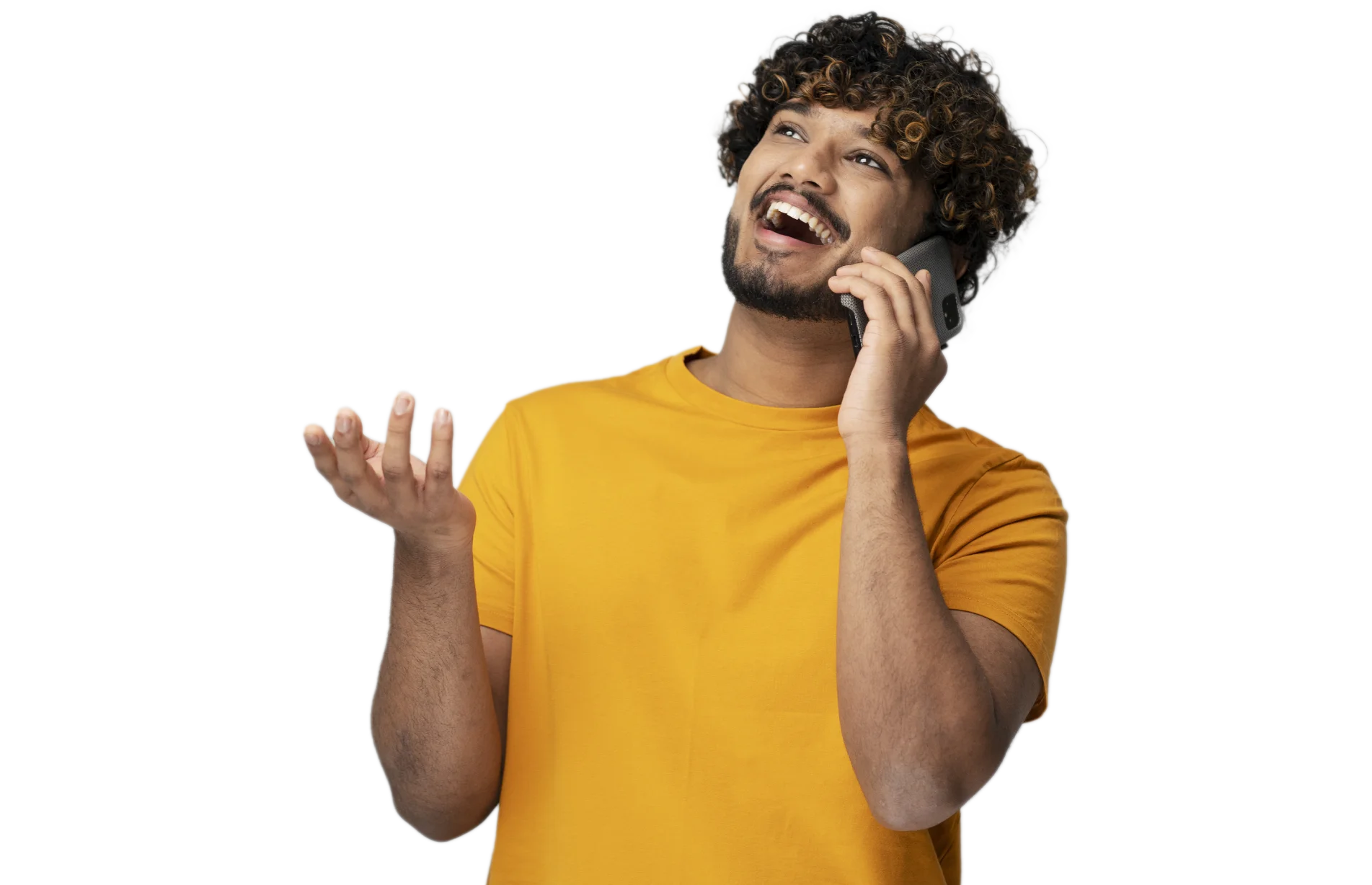 HD phone conference services